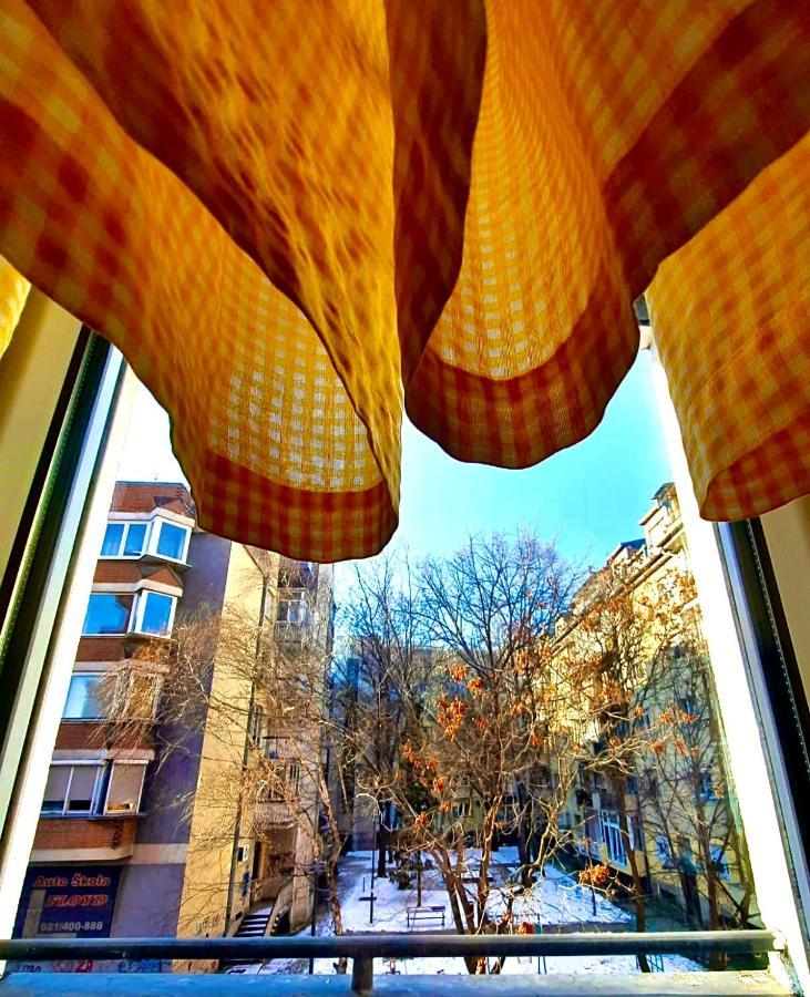 Apartman Danube Novi Sad Exteriör bild