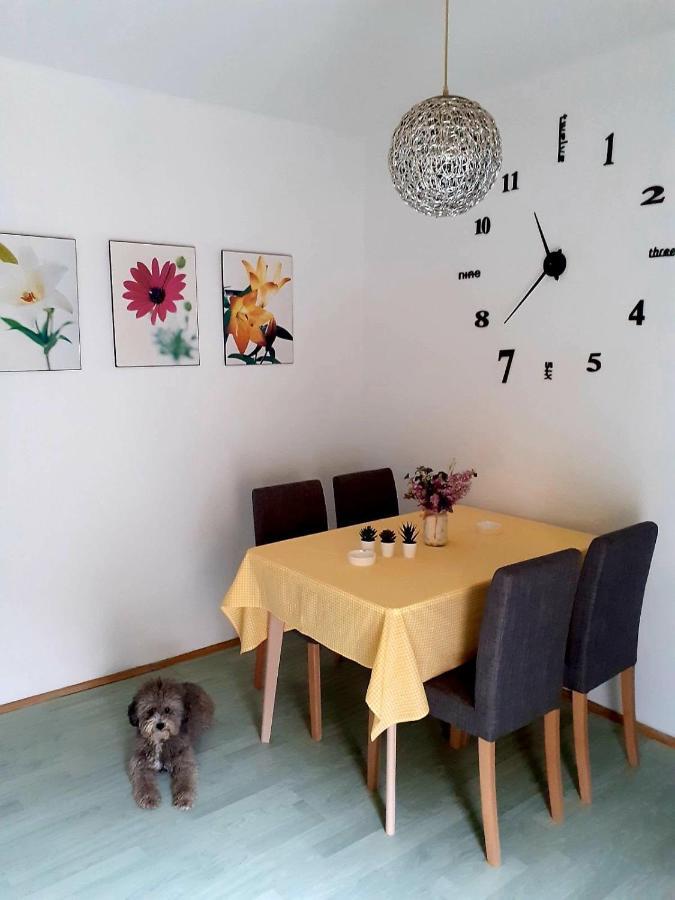 Apartman Danube Novi Sad Exteriör bild